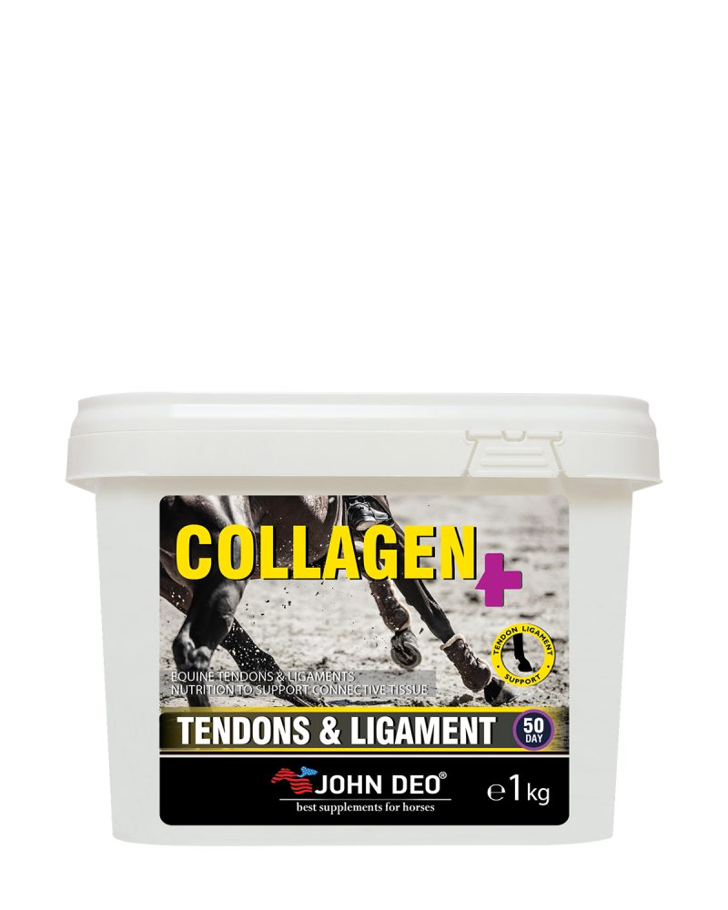 COLLAGEN