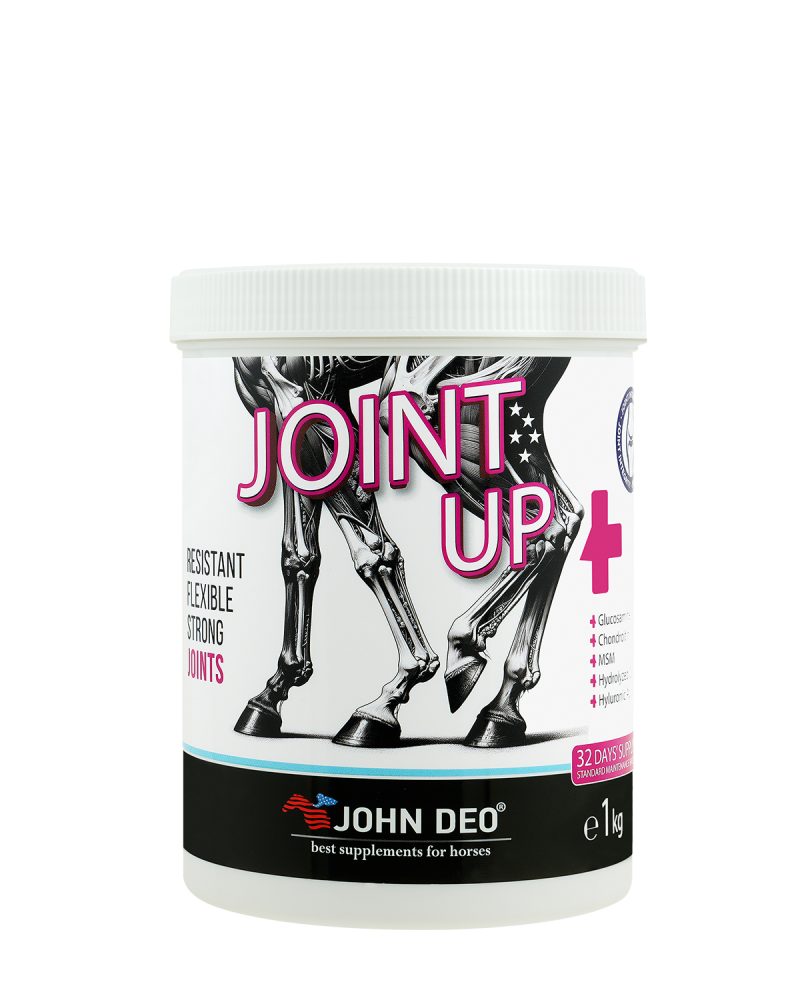 JOINT UP