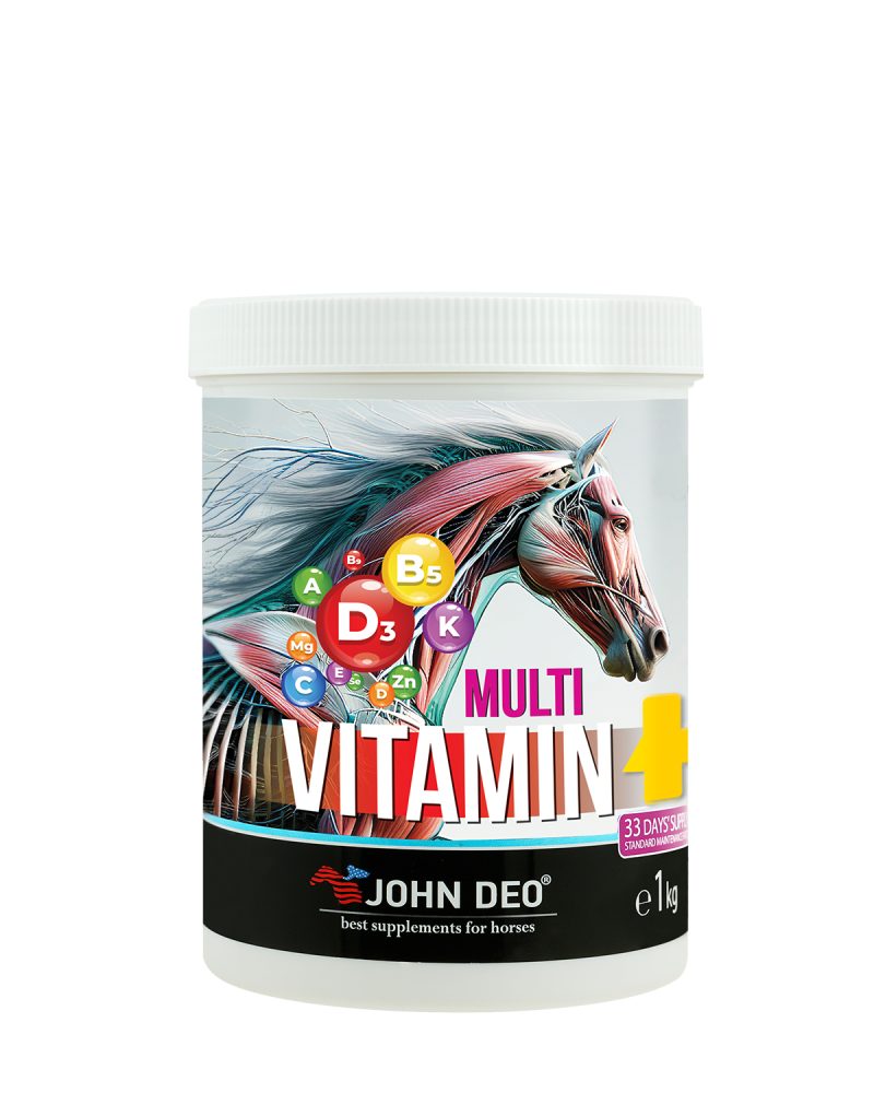 MULTI VITAMIN